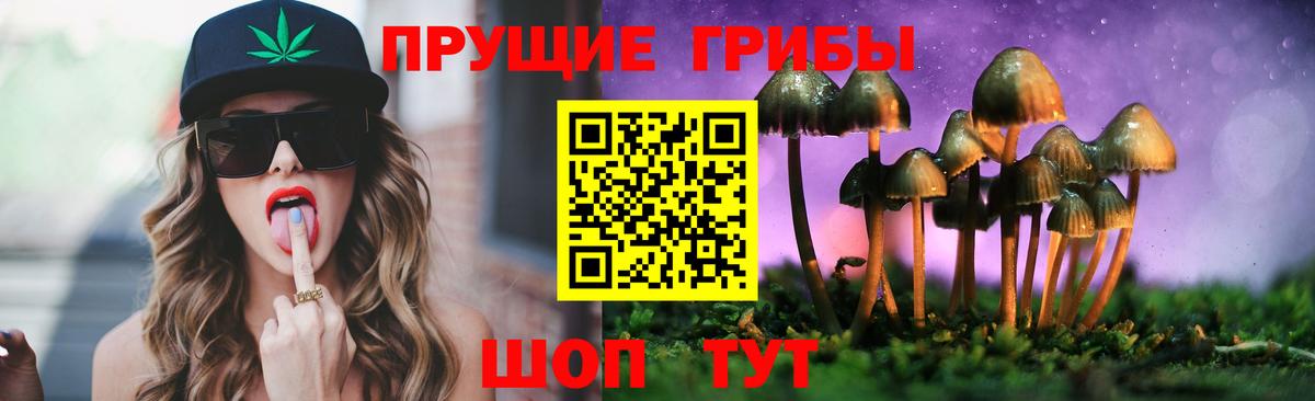 Галлюциногенные грибы мицелий Отрадный